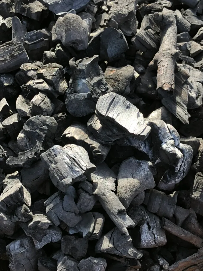 Up close of the charcoal